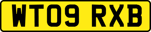 WT09RXB