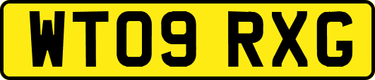 WT09RXG