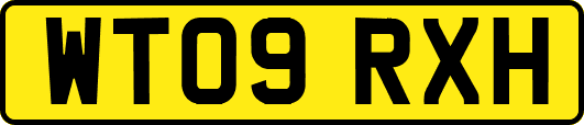 WT09RXH