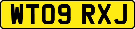 WT09RXJ