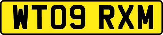 WT09RXM