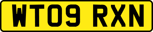 WT09RXN