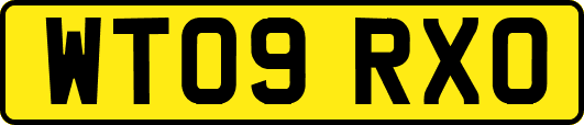 WT09RXO