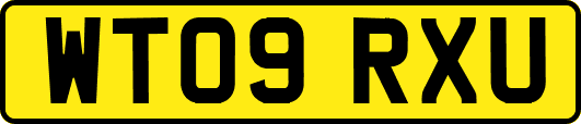 WT09RXU