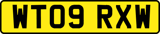 WT09RXW