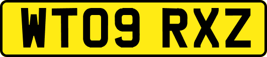 WT09RXZ