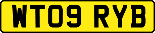 WT09RYB
