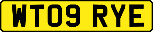 WT09RYE