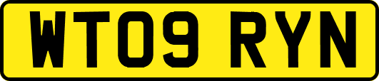 WT09RYN