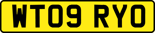 WT09RYO