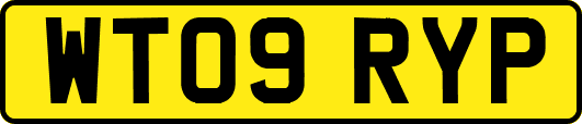 WT09RYP