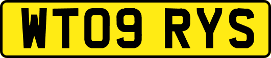 WT09RYS