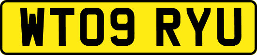 WT09RYU