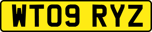 WT09RYZ