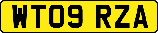 WT09RZA