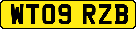 WT09RZB