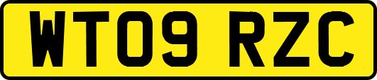 WT09RZC