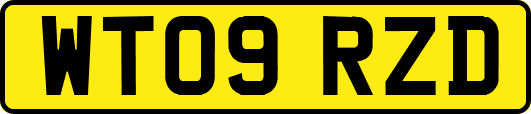 WT09RZD