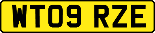 WT09RZE