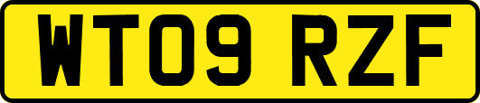 WT09RZF