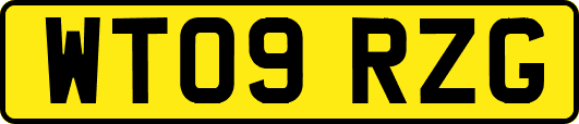 WT09RZG