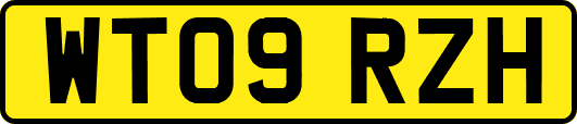 WT09RZH