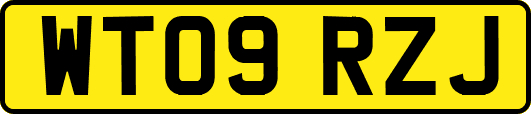 WT09RZJ