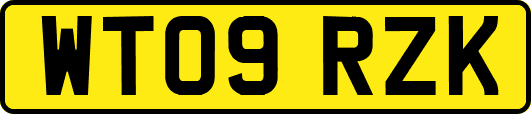 WT09RZK