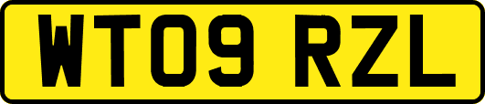 WT09RZL