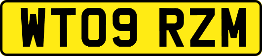WT09RZM