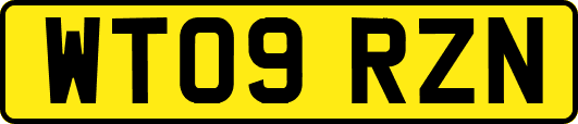 WT09RZN
