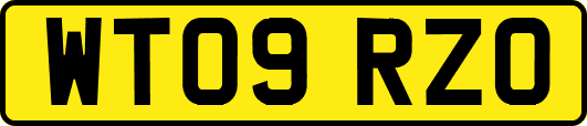 WT09RZO
