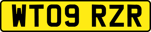 WT09RZR