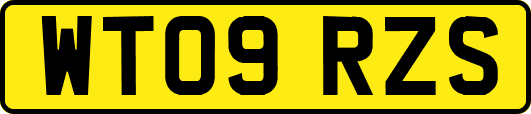 WT09RZS