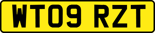 WT09RZT