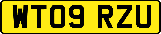 WT09RZU