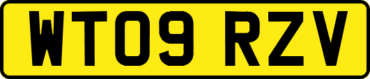 WT09RZV