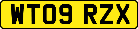 WT09RZX