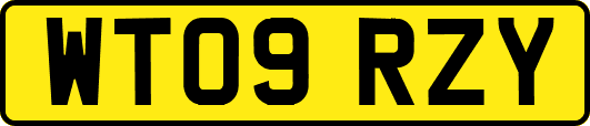 WT09RZY