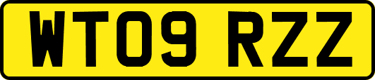 WT09RZZ