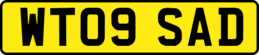 WT09SAD