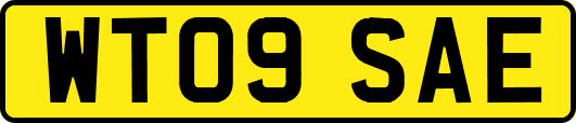 WT09SAE