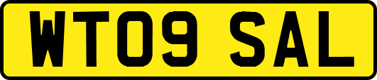WT09SAL