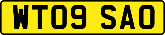 WT09SAO