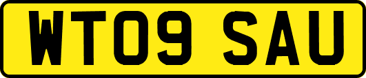WT09SAU