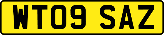 WT09SAZ