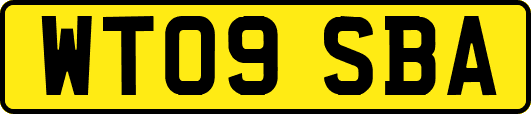 WT09SBA