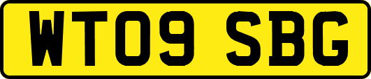 WT09SBG