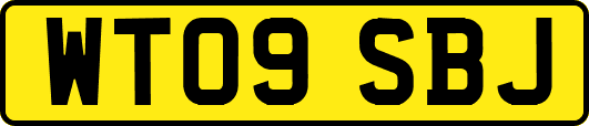 WT09SBJ