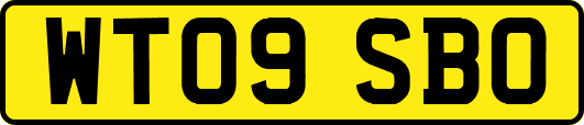 WT09SBO